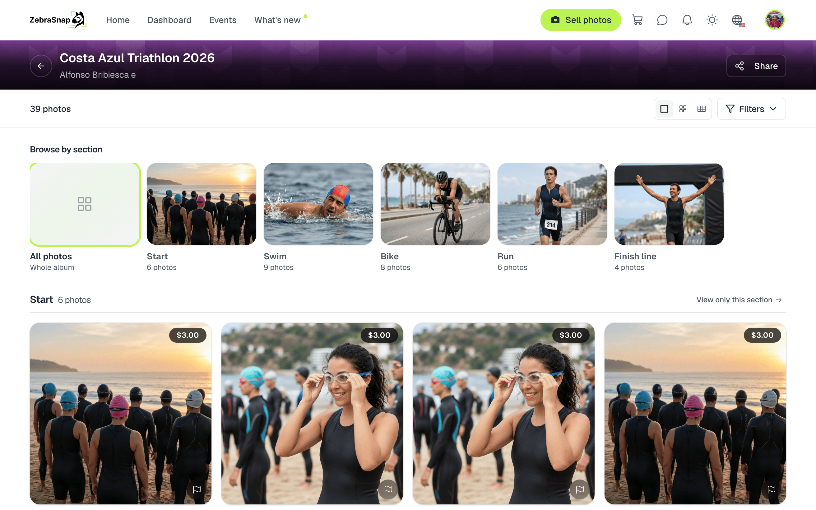 The public album with section cards