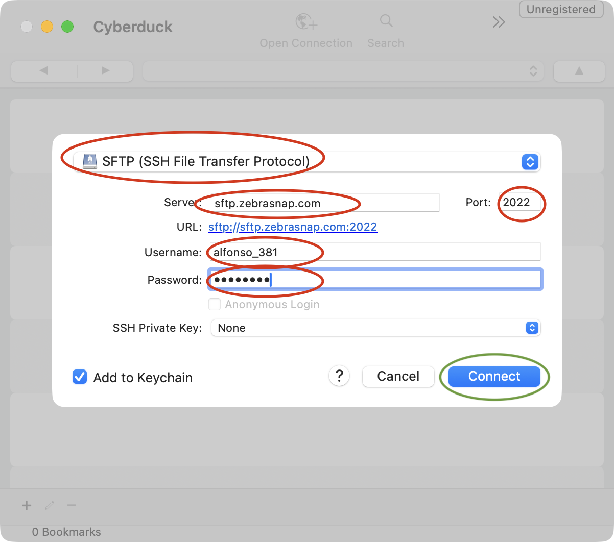 Cyberduck connection dialog with SFTP selected and ZebraSnap credentials filled in
