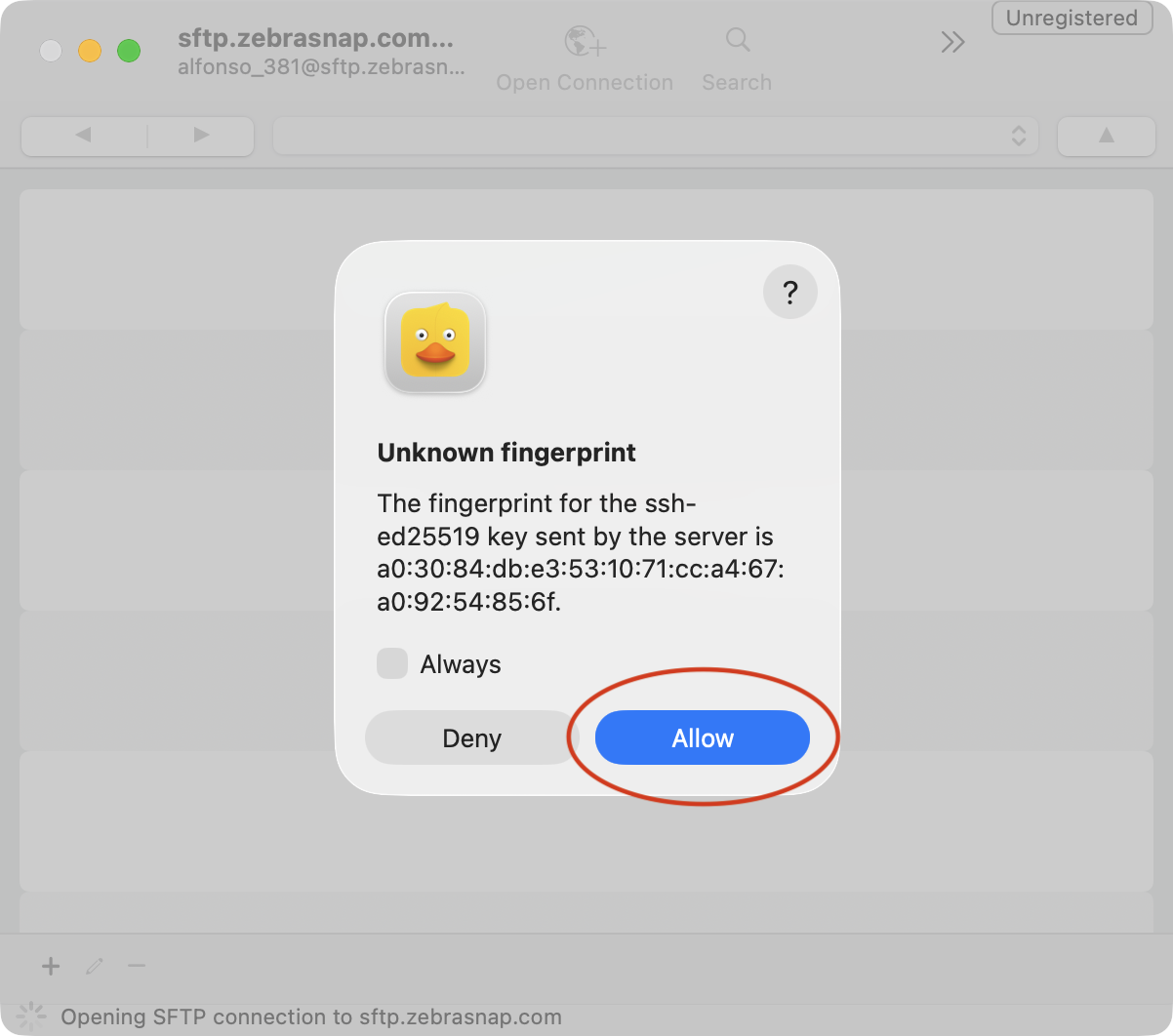Cyberduck unknown fingerprint dialog with the Allow button
